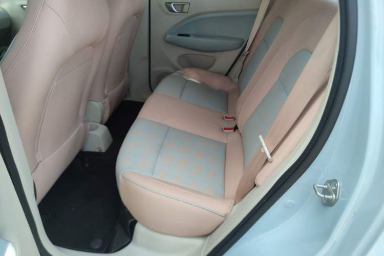 Used Leapmotor T03 2023 310 Lite Edition Left Rear Seat