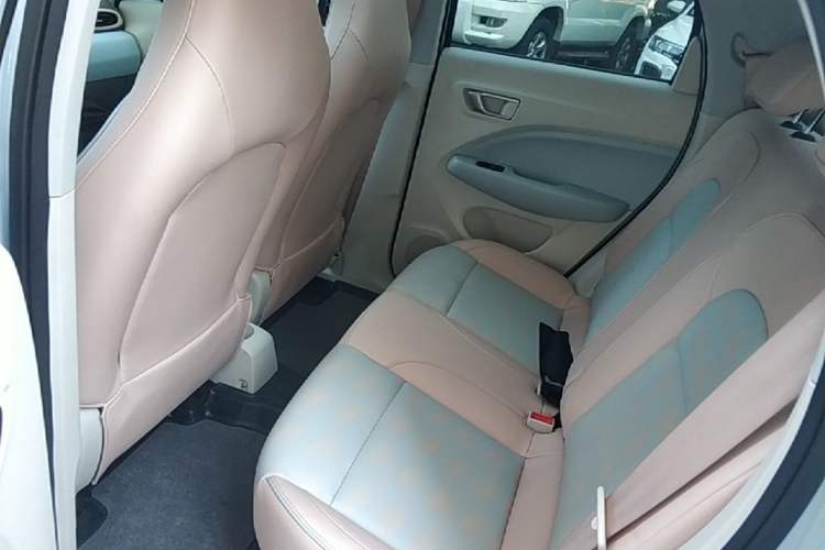 Used Leapmotor T03 2023 403 Smart Edition Left Rear Seat
