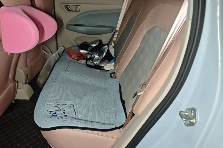 Used Leapmotor T03 2023 310 Lite Edition Left Rear Seat