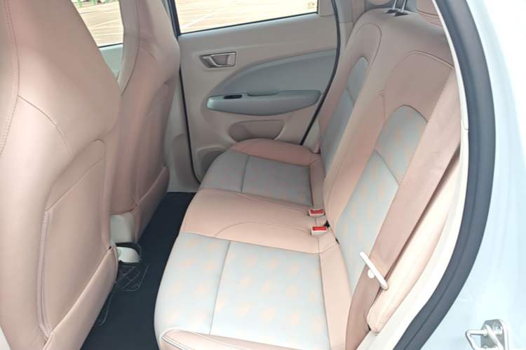Used Leapmotor T03 2023 310 Lite Edition Left Rear Seat