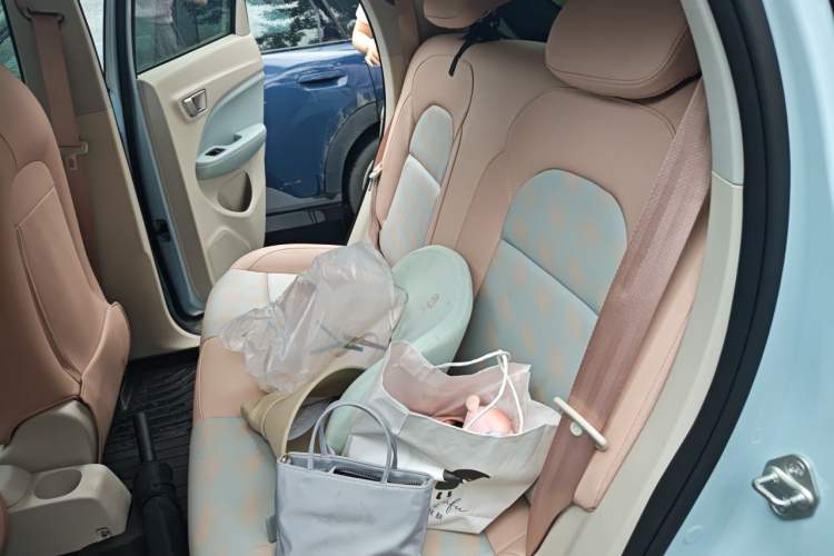 Used Leapmotor T03 2023 310 Lite Edition Left Rear Seat