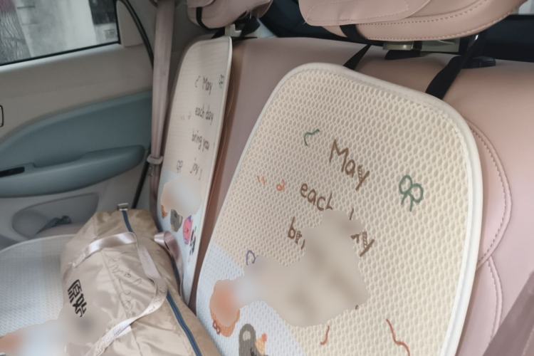 Used Leapmotor T03 2023 403 Smart Edition Left Rear Seat