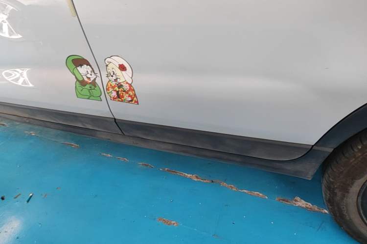 Used Leapmotor T03 2023 310 Lite Edition Left Side Sill