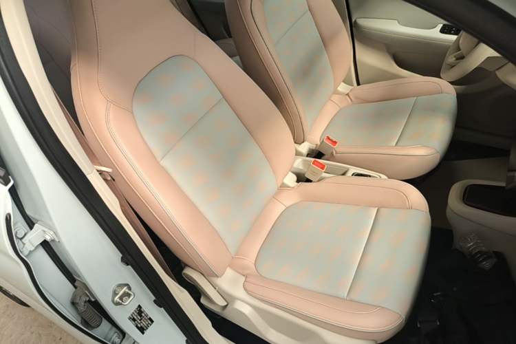 Used Leapmotor T03 2023 310 Lite Edition Right Front Seat