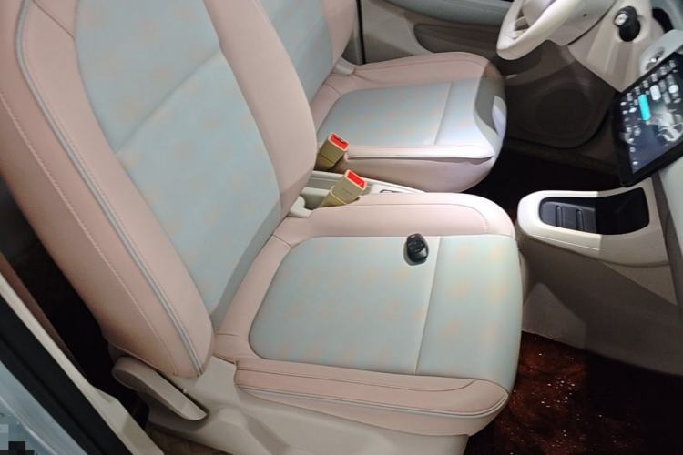 Used Leapmotor T03 2023 403 Smart Edition Right Front Seat