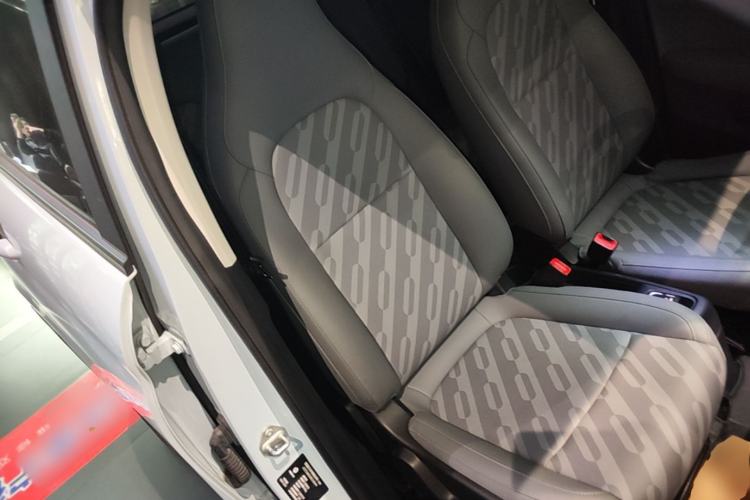 Used Leapmotor T03 2023 403 Smart Edition Right Front Seat