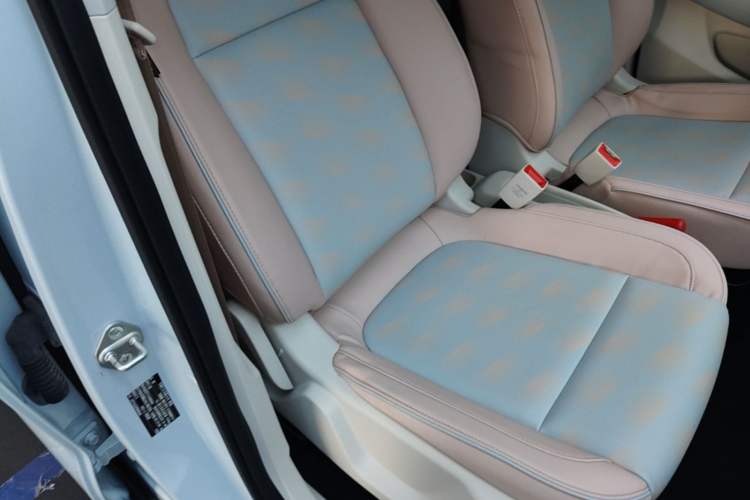 Used Leapmotor T03 2023 310 Lite Edition Right Front Seat