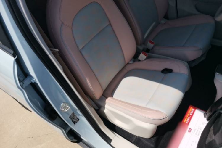 Used Leapmotor T03 2023 310 Lite Edition Right Front Seat