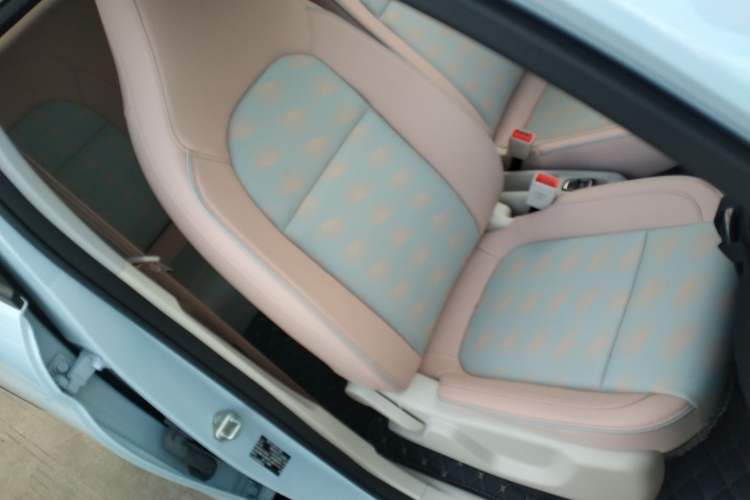 Used Leapmotor T03 2023 310 Lite Edition Right Front Seat