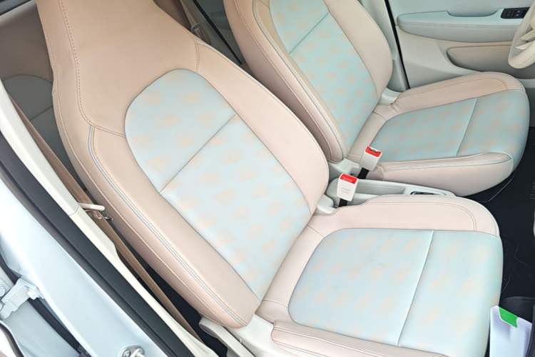 Used Leapmotor T03 2023 310 Lite Edition Right Front Seat