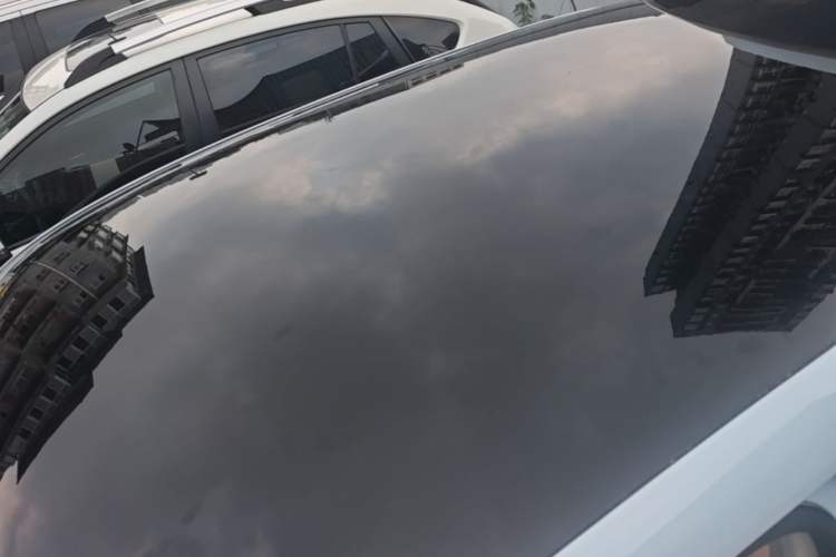 Used Leapmotor T03 2023 310 Lite Edition Roof