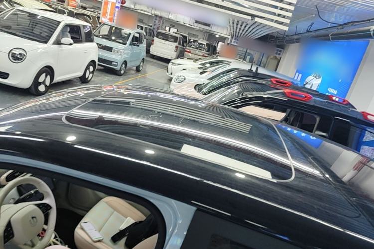 Used Leapmotor T03 2023 403 Smart Edition Roof