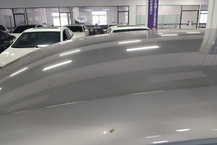 Used Leapmotor T03 2023 200 Lite Edition Roof