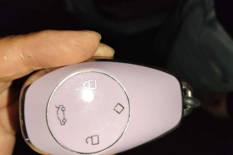 Used Leapmotor T03 2023 310 Lite Edition Vehicle Key