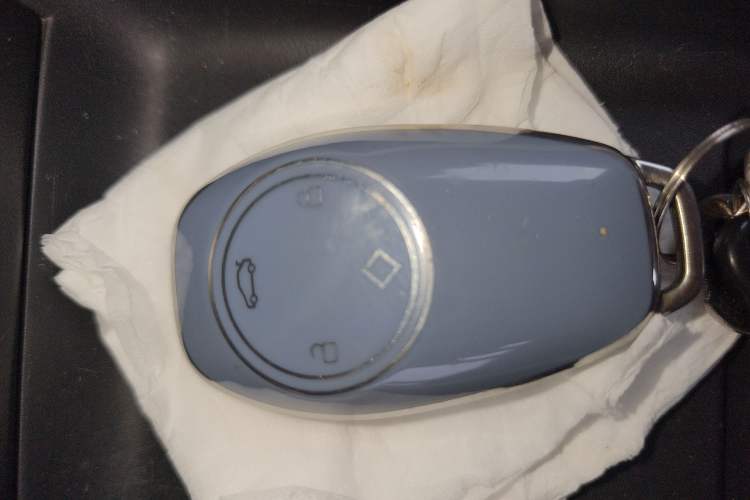 Used Leapmotor T03 2023 403 Smart Edition Vehicle Key