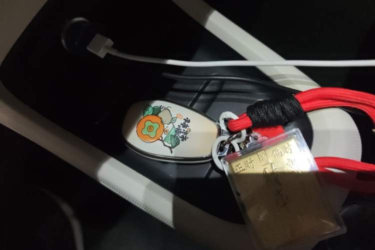 Used Leapmotor T03 2023 310 Lite Edition Vehicle Key