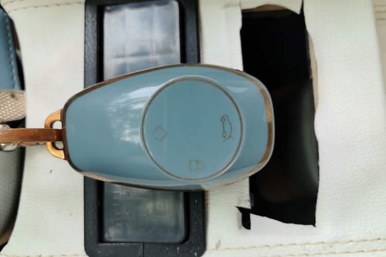 Used Leapmotor T03 2023 403 Lite Edition Vehicle Key