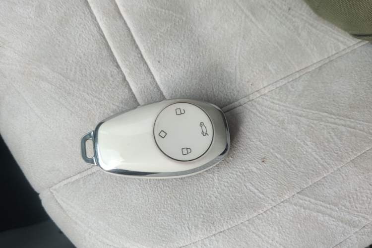 Used Leapmotor T03 2023 310 Lite Edition Vehicle Key