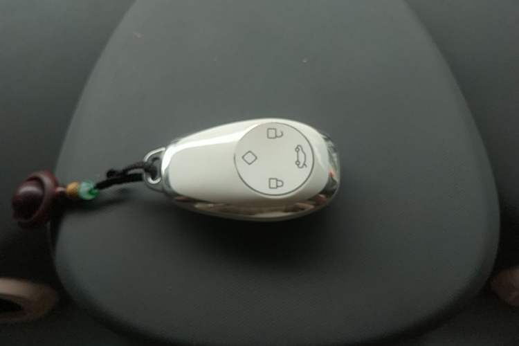 Used Leapmotor T03 2023 310 Lite Edition Vehicle Key
