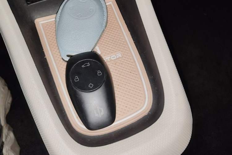 Used Leapmotor T03 2023 310 Lite Edition Vehicle Key