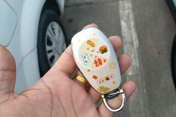 Used Leapmotor T03 2023 310 Lite Edition Vehicle Key