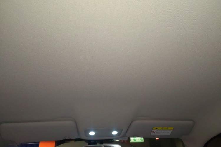 Used Leapmotor T03 2023 200 Lite Edition Headliner
