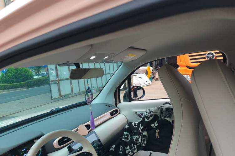 Used Leapmotor T03 2023 200 Lite Edition Headliner