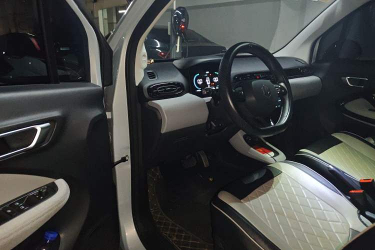 Used Leapmotor T03 2023 200 Lite Edition Driver Seat