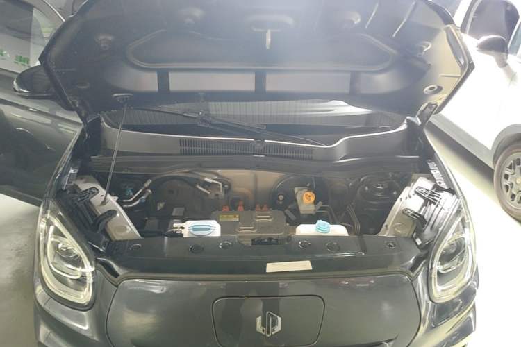 Used Leapmotor T03 2023 310 Lite Edition Engine Bay