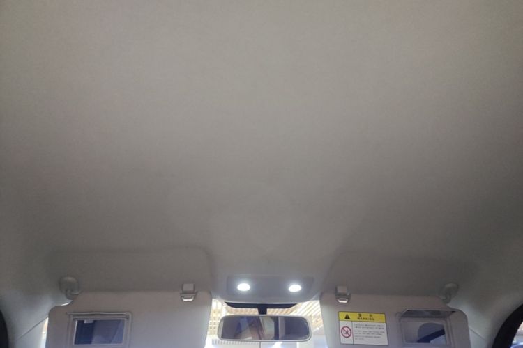 Used Leapmotor T03 2023 310 Lite Edition Headliner