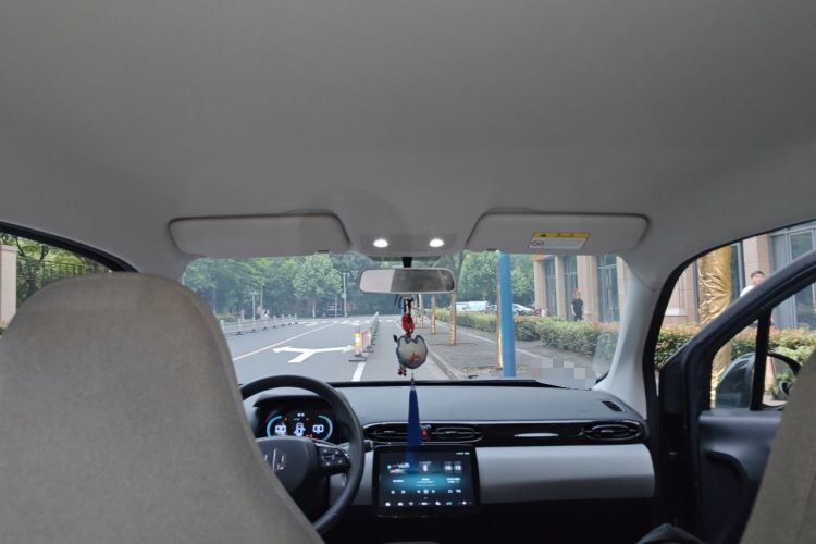 Used Leapmotor T03 2023 200 Lite Edition Headliner