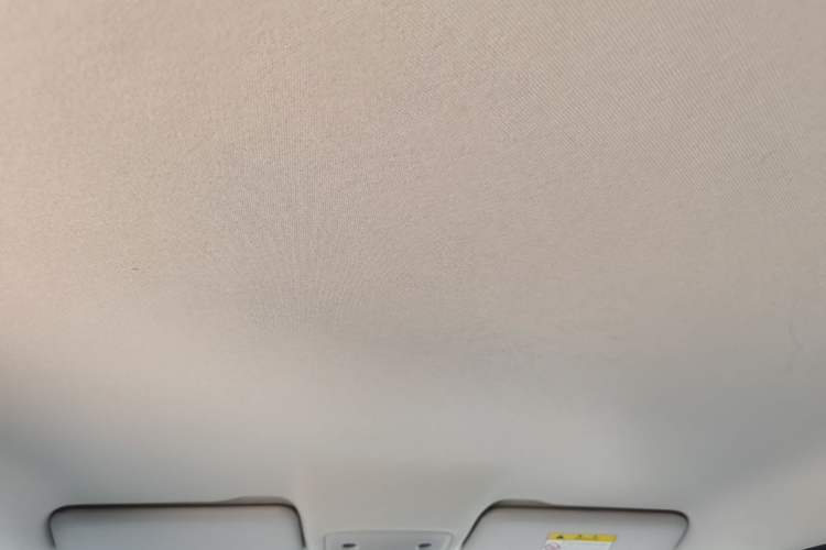 Used Leapmotor T03 2023 310 Lite Edition Headliner