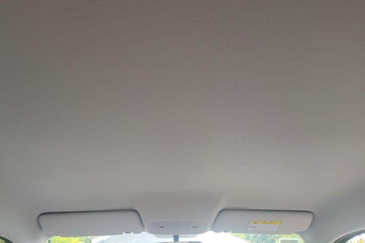 Used Leapmotor T03 2023 200 Lite Edition Headliner