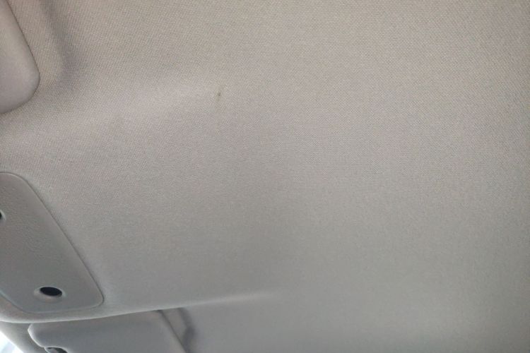 Used Leapmotor T03 2023 310 Lite Edition Headliner