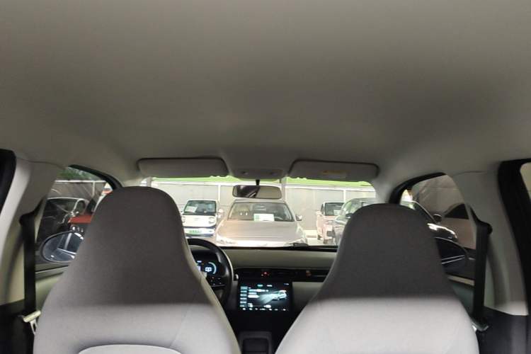 Used Leapmotor T03 2023 310 Lite Edition Headliner