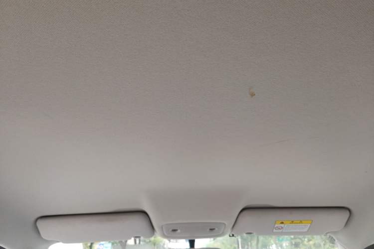 Used Leapmotor T03 2023 310 Lite Edition Headliner