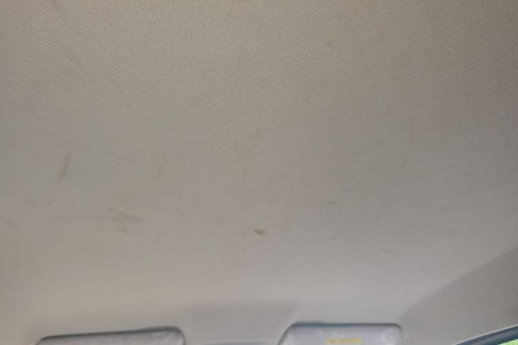 Used Leapmotor T03 2023 403 Lite Edition Headliner