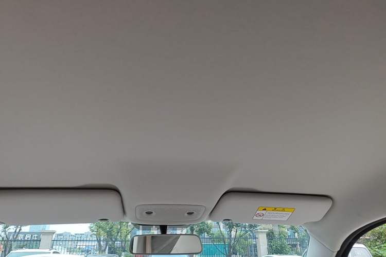 Used Leapmotor T03 2023 310 Lite Edition Headliner