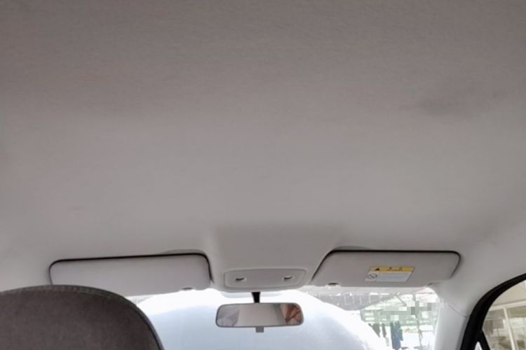 Used Leapmotor T03 2023 310 Lite Edition Headliner