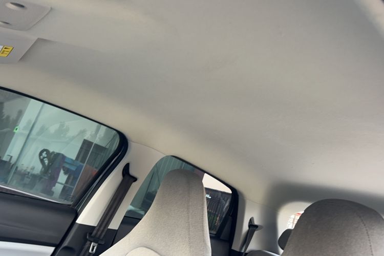 Used Leapmotor T03 2023 310 Lite Edition Headliner