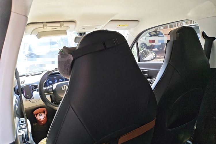 Used Leapmotor T03 2023 310 Lite Edition Headliner
