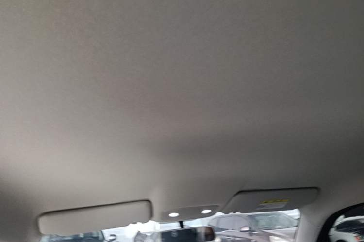 Used Leapmotor T03 2023 200 Lite Edition Headliner