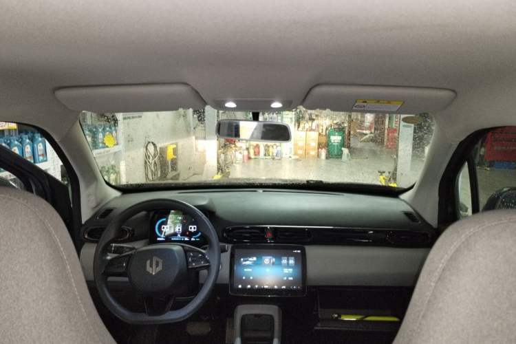 Used Leapmotor T03 2023 310 Lite Edition Headliner