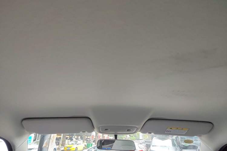 Used Leapmotor T03 2023 310 Lite Edition Headliner