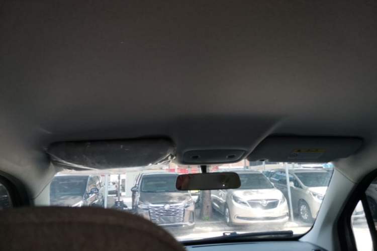 Used Leapmotor T03 2023 310 Lite Edition Headliner