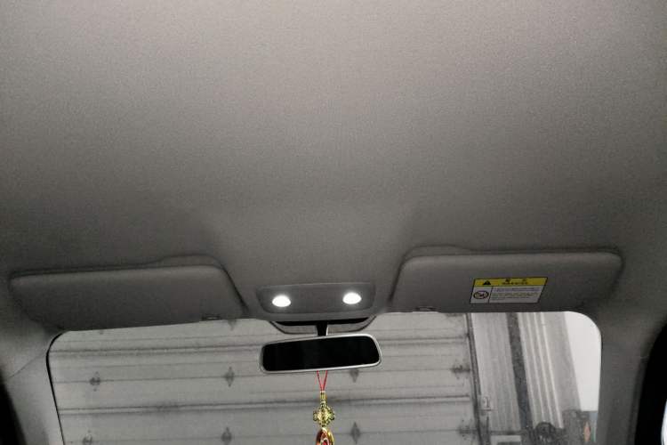 Used Leapmotor T03 2023 200 Lite Edition Headliner