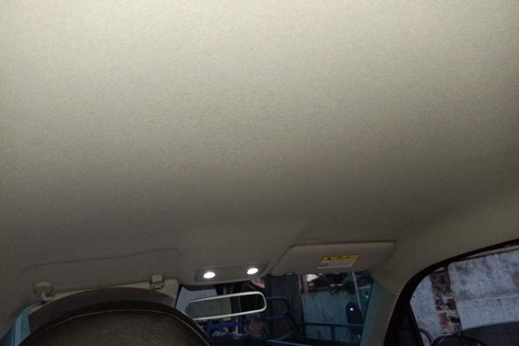 Used Leapmotor T03 2023 200 Lite Edition Headliner