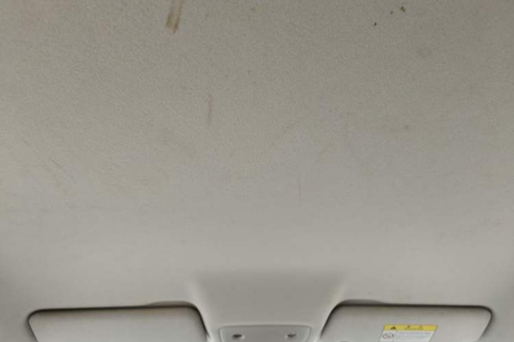 Used Leapmotor T03 2023 310 Lite Edition Headliner
