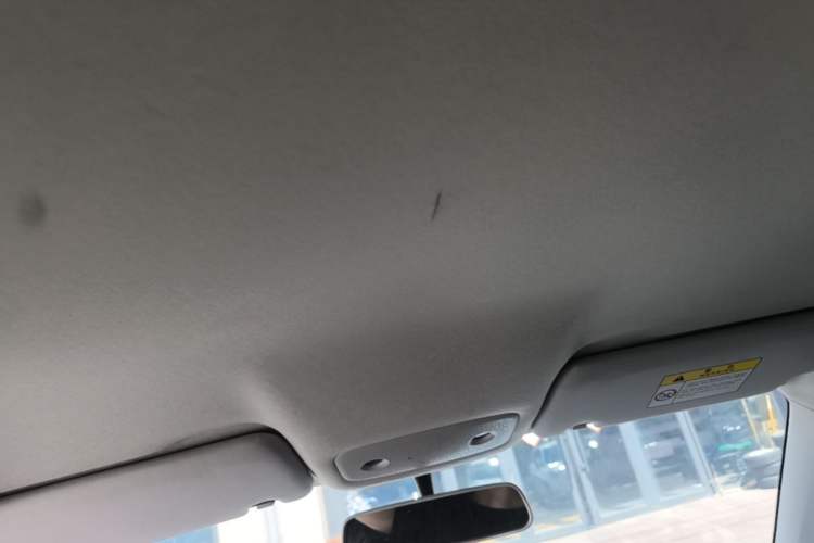 Used Leapmotor T03 2023 200 Lite Edition Headliner