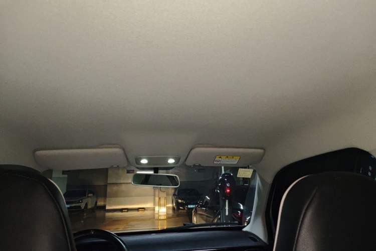 Used Leapmotor T03 2023 200 Lite Edition Headliner